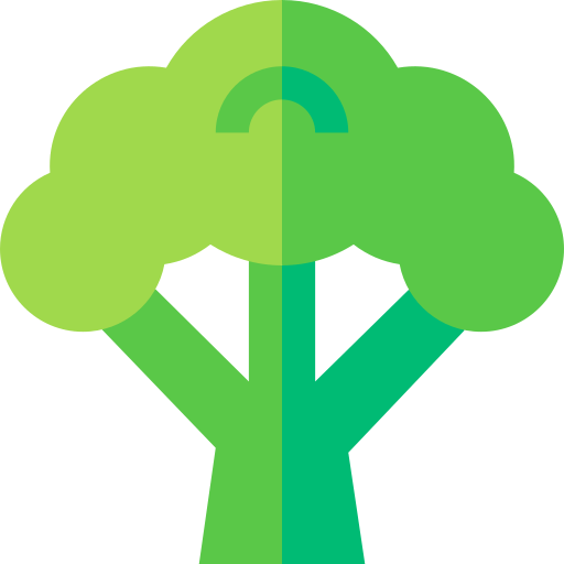 brócoli Basic Straight Flat icono