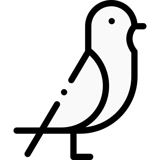 pigeon Detailed Rounded Lineal color Icône