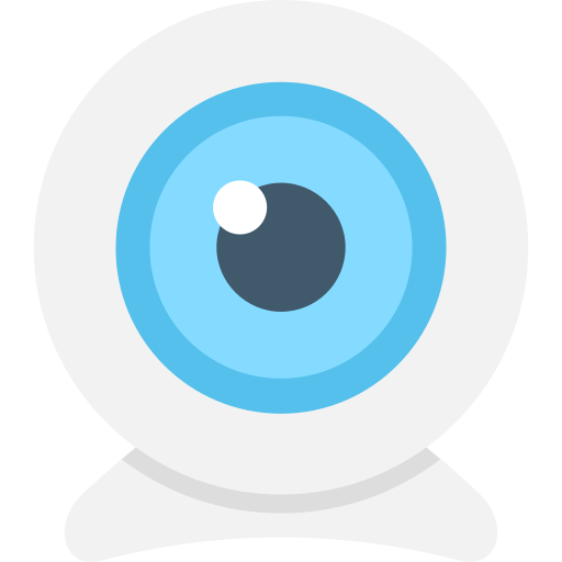 webcam Flat Color Flat icon
