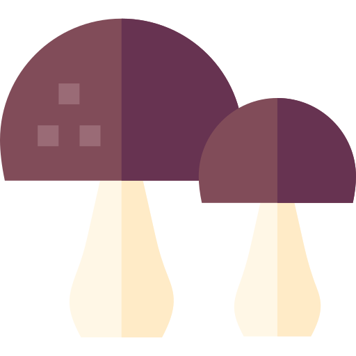 cogumelos Basic Straight Flat Ícone