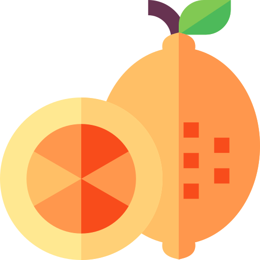レモン Basic Straight Flat icon