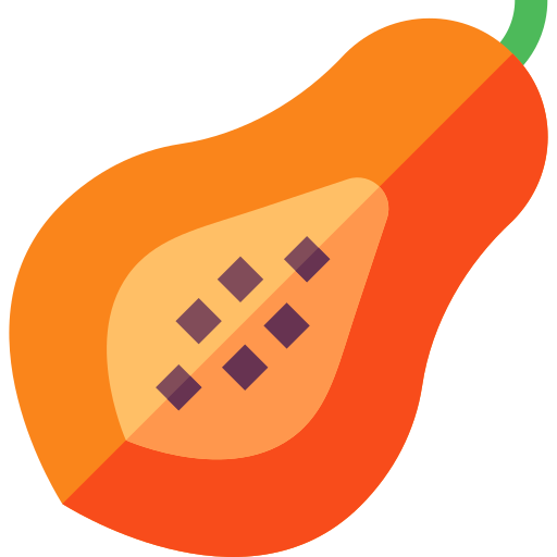 papaya Basic Straight Flat icon