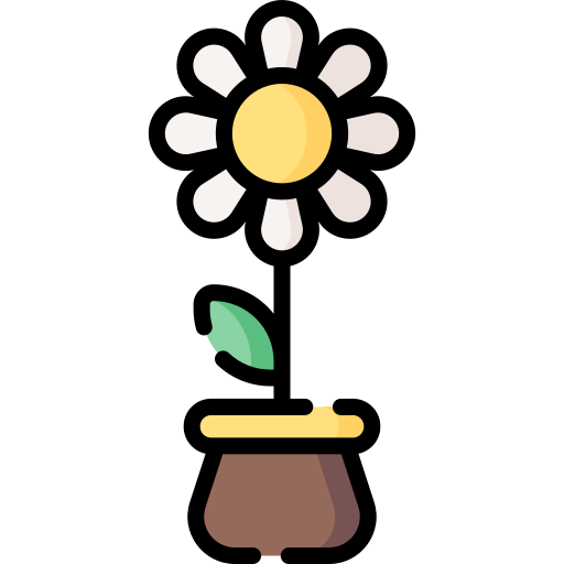 Daisy Special Lineal color icon