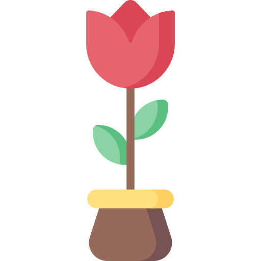 Тюльпан Special Flat иконка