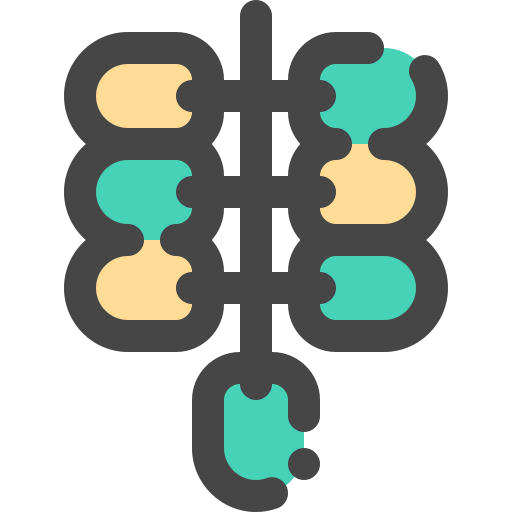 datums Generic Outline Color icoon