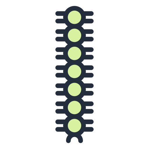 Caterpillar Generic Outline Color icon
