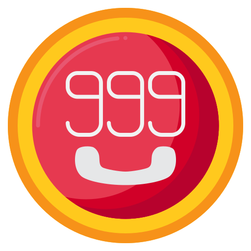 999 Flaticons Flat ikona