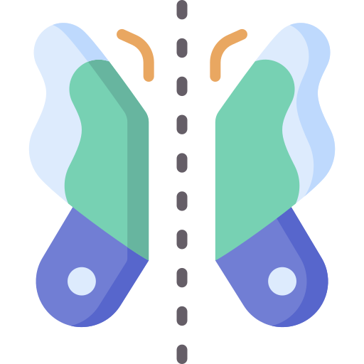 symmetrie Special Flat icon