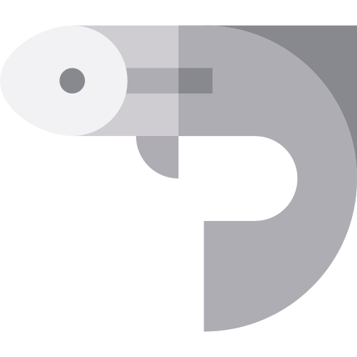 pescado Basic Straight Flat icono