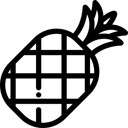 ananas Detailed Rounded Lineal icon