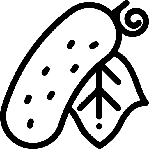 Огурец Detailed Rounded Lineal иконка