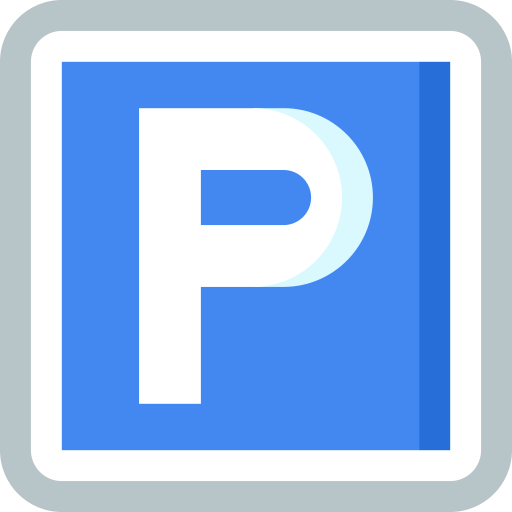 Parking Special Flat icon