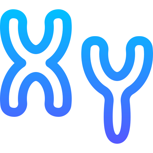 cromosomas Basic Gradient Lineal color icono