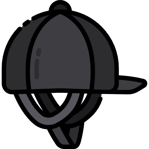 casco Special Lineal color icono