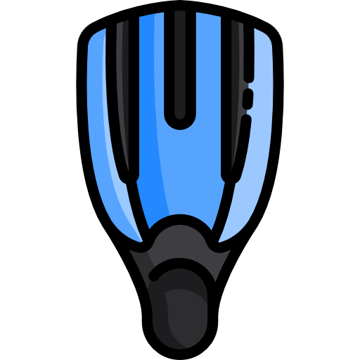 Flippers Special Lineal color icon