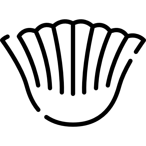 フィルター Special Lineal icon
