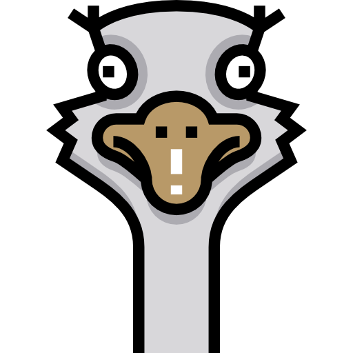 Ostrich Detailed Straight Lineal color icon