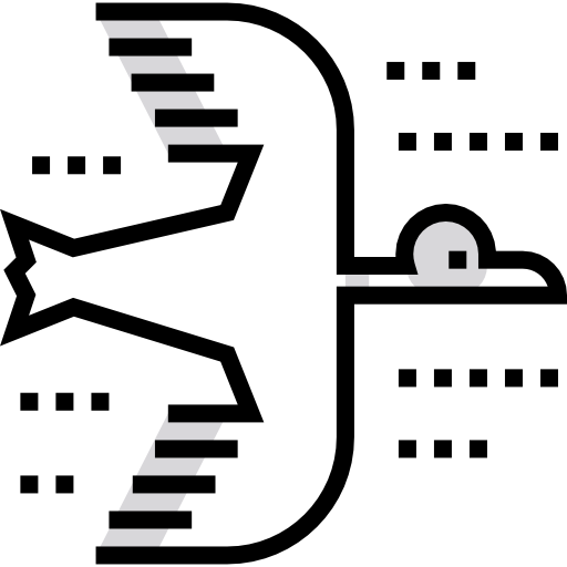 ptak Detailed Straight Lineal color ikona