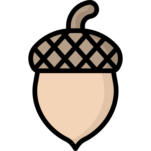 Acorn bqlqn Lineal Color icon