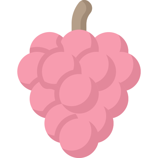 Grapes bqlqn Flat icon