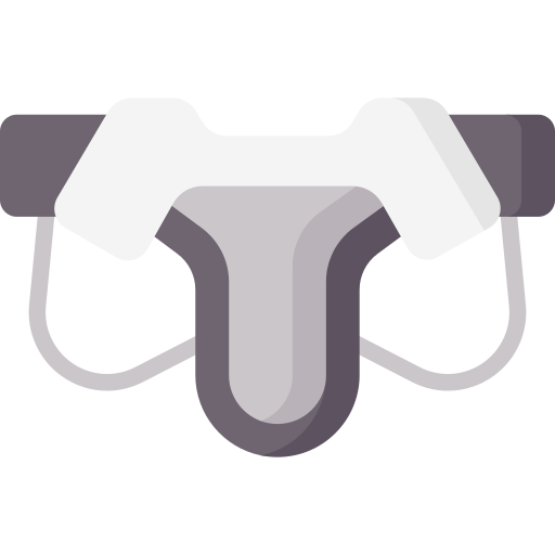 Jockstrap Special Flat icon