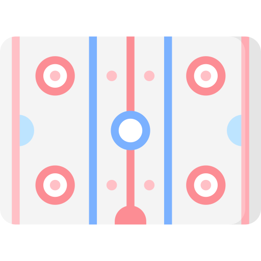 Hockey field Special Flat icon