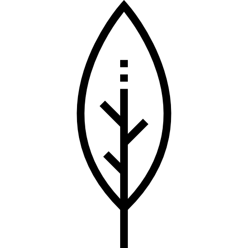 시금치 Detailed Straight Lineal icon