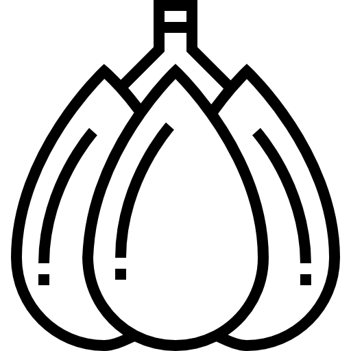Clove garlic Detailed Straight Lineal icon