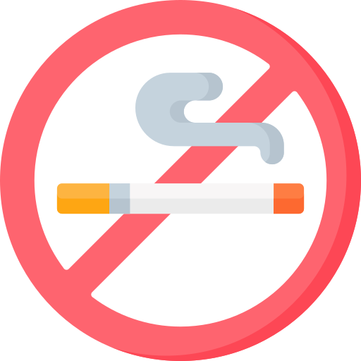 No smoking Special Flat icon