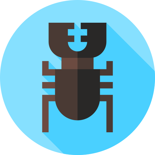 甲虫 Flat Circular Flat icon