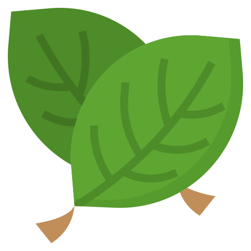 Leaves Surang Flat icon