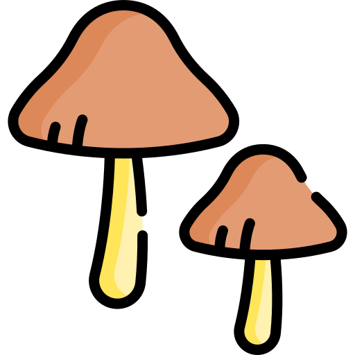 버섯 Special Lineal color icon