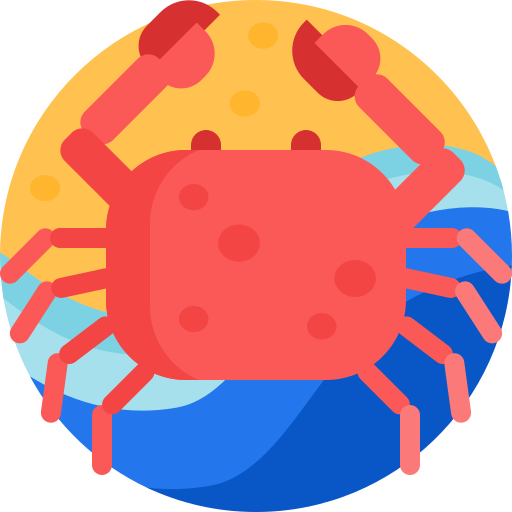 crabe Detailed Flat Circular Flat Icône