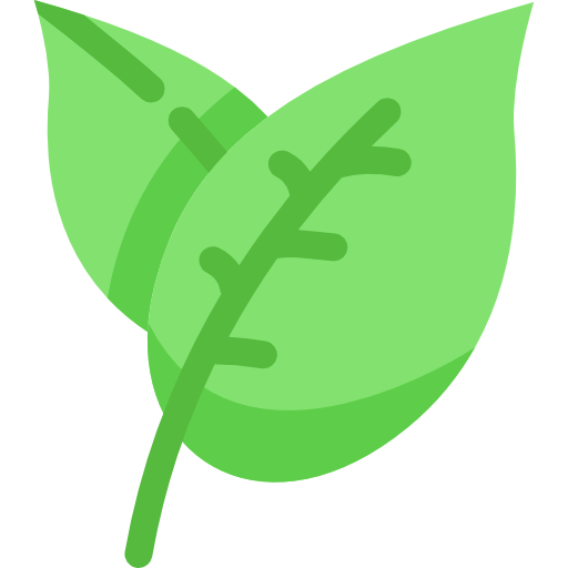 Leaf Special Flat icon