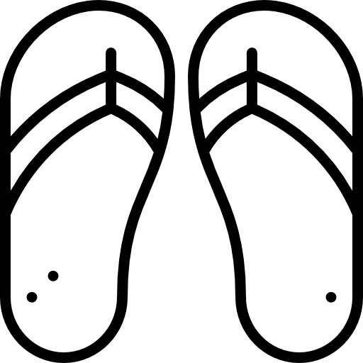 Flip flops Special Lineal icon