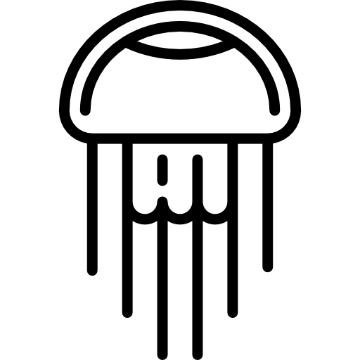 Jellyfish Special Lineal icon