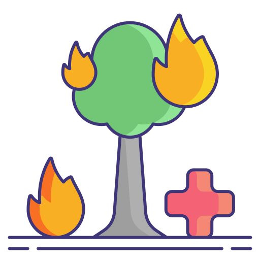 Лесной пожар Flaticons Lineal Color иконка