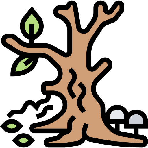 toter baum Meticulous Lineal Color icon