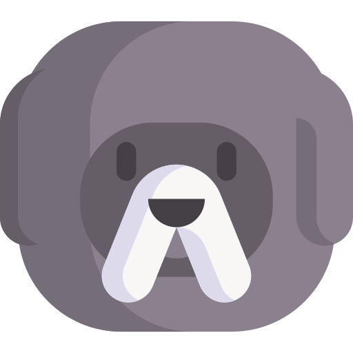 Tibetan mastiff Special Flat icon