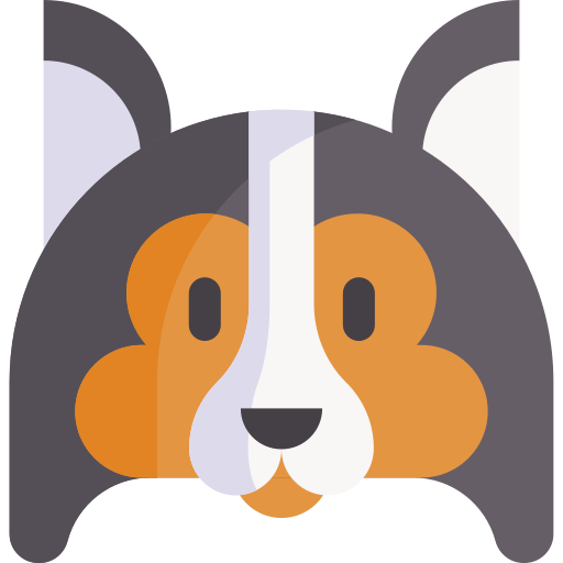 Shetland sheepdog Special Flat icon