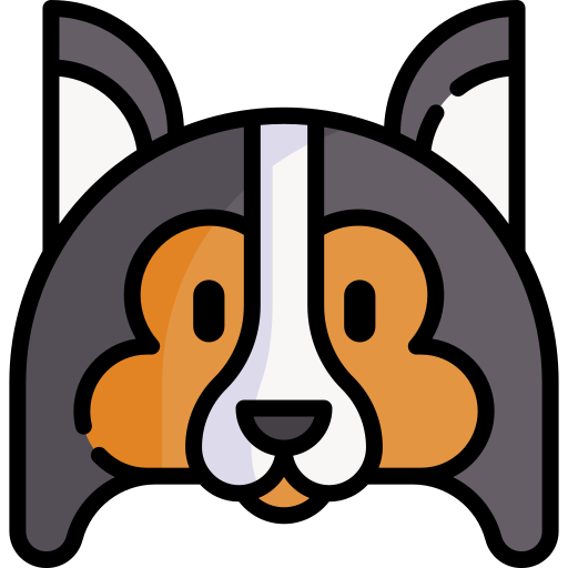 shetland herdershond Special Lineal color icoon