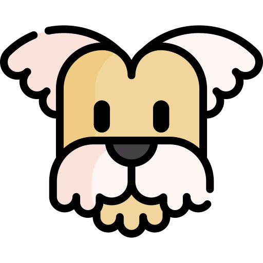 shih tzu Special Lineal color icon