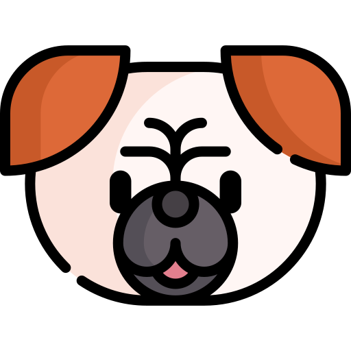 Pug Special Lineal color icon