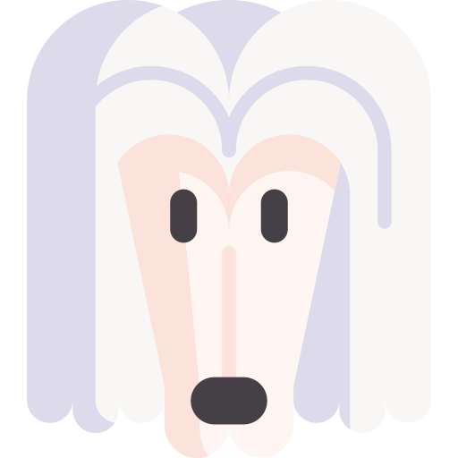 Afghan hound Special Flat icon
