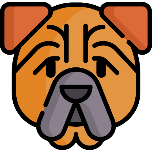 shar pei Special Lineal color icon