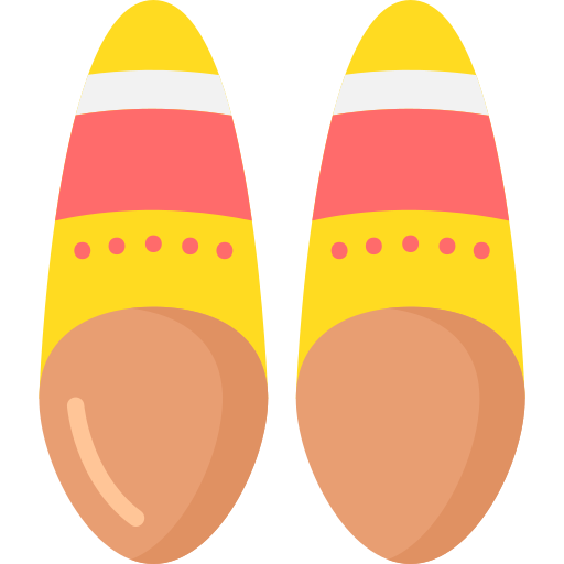 schuhe Special Flat icon