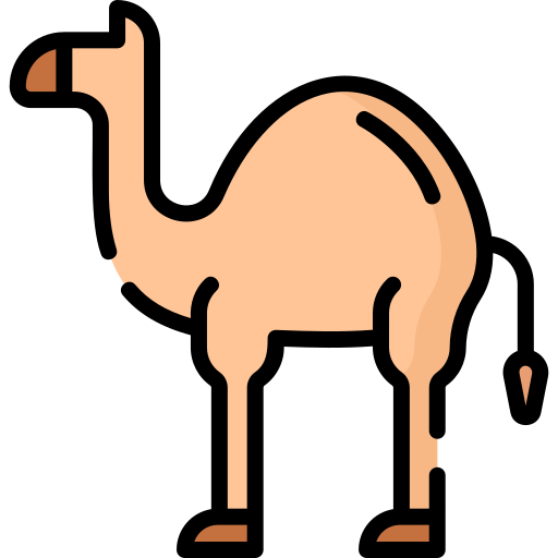 wielbłąd Special Lineal color ikona