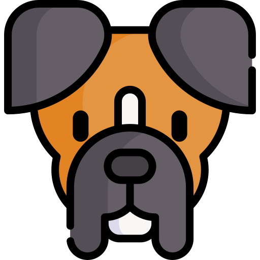 Boxer Special Lineal color icon