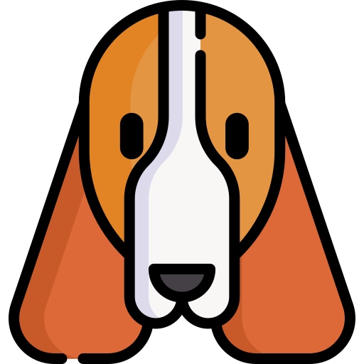 Springer spaniel Special Lineal color icon