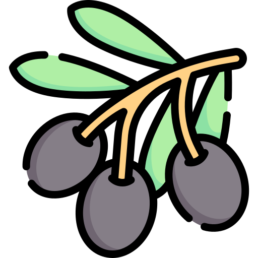 Olive Special Lineal color icon